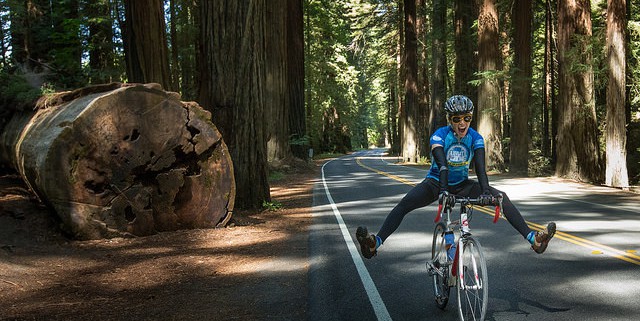 great bike rides bicycle tourism