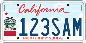 Bicycle License Plate sequential