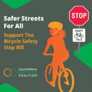 Bicycle Safety Stop