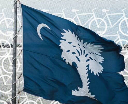 Blue South Carolina flag with a white palmetto tree and crescent moon waving in front of a repeating white bicycle pattern, with a waterfront faintly visible in the background.