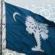 Blue South Carolina flag with a white palmetto tree and crescent moon waving in front of a repeating white bicycle pattern, with a waterfront faintly visible in the background.