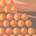 Abstract orange-and-gray graphic featuring a large white “43” on the right and rows of small orange pie charts showing roughly one-half and two-thirds proportions across the left and center.